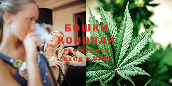 PSILOCYBIN Абдулино