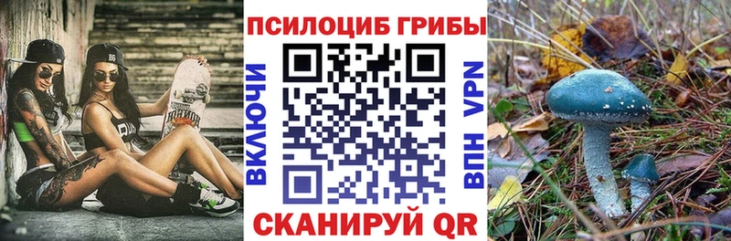 Галлюциногенные грибы MAGIC MUSHROOMS  Иннополис 
